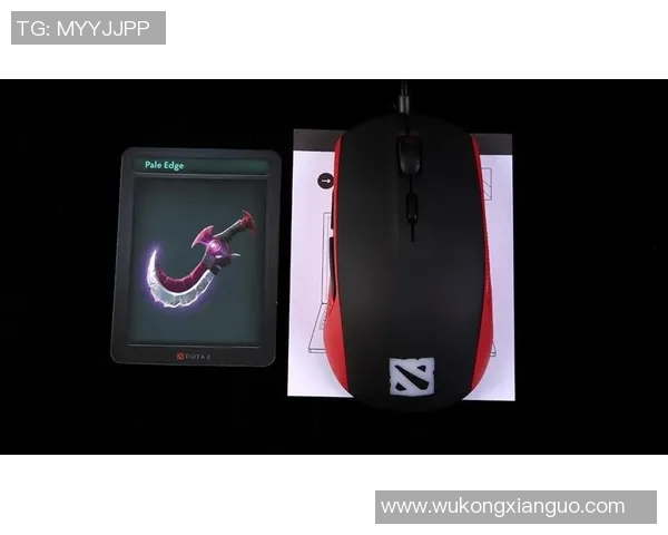 DOTA2装备选购指南：如何选择适合你的鼠标提升游戏体验